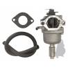 Carburateur pour moteur BRIGGS & STRATTON modèle OHV AVS 17,5CV